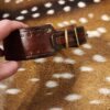 Custom Leather Dog Collar - Image 6